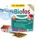 Biofos Profesionalni Bakterijski Pripravak za Septičke Jama, Inco Group, 1,15 kg
