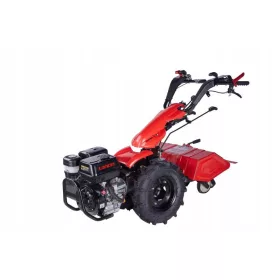 15005767541
