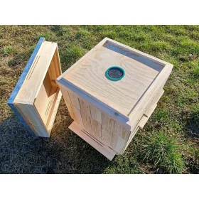 Medeni košnica s paukom