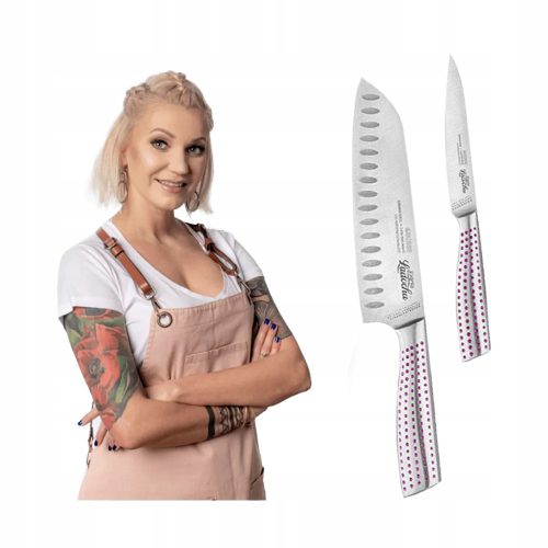 Set noževa u kutiji 4swiss Perfect Knife 2 kom.