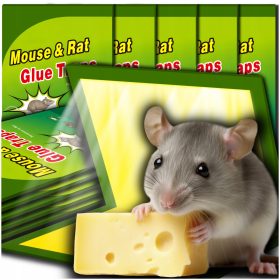   Protivštakor i miševa ljepilo za hvatanje sa 10x jačim učinkom