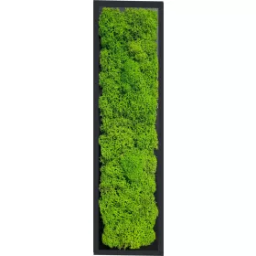 Slikanje čarobnog mahovinskog panela 60x20 cm