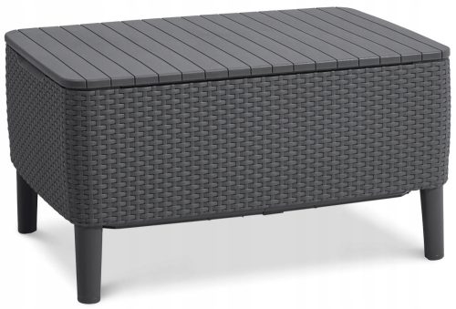 Balkonski stol s ostavom Salemo Graphite Keter
