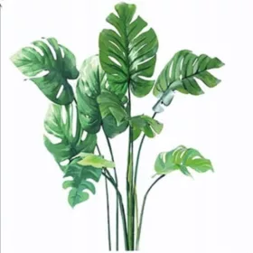   Monstera Leaves Wall Stickers - Furniture Glass Mirror for Home Decor