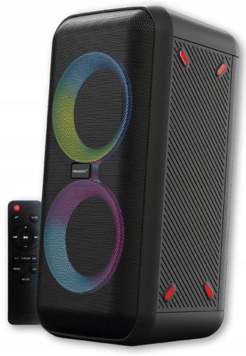  Ferguson Regent Power Audio 400BT 60W Bluetooth zvučnik FM BT USB AUX DSP
