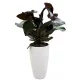  Form-Plastična posuda za cvijeće 38,5 cm x 38,5 x 58 cm promjer 38,5 cm plastična bijela