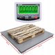PLATFORMSKA VAGA Sensorwag 1500 kg x 500 g