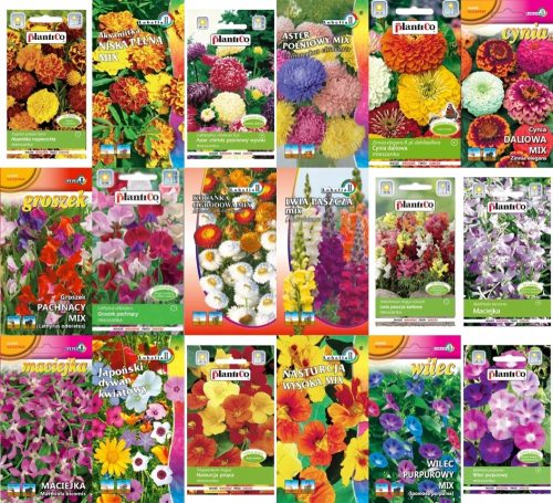  FLOWER SEEDS COLLECTION set, sjeme, 10 pakiranja