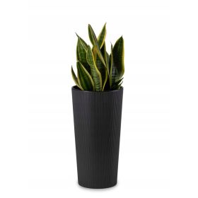  Teglica za cvijeće 46,6 x 25,5 cm, crna plastika