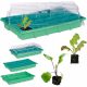 Mini staklenik - 24× Mini staklenik 38 cm x 24,5 cm, plastika