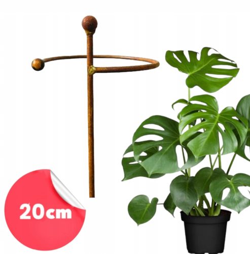  Nosač za biljke, grmlje, cvijeće, vrtni nosač D20 H60cm, poljski, čvrsti