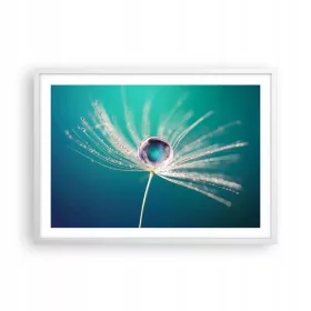   Poster u bijelom okviru za dnevni boravak i spavaću sobu 70x50 cm s motivom maslačka