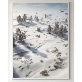   Poster Priroda - Zimski krajolici divljine, biljke bez okvira 70 x 100 cm