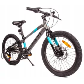   Dječji brdski bicikl MTB Shimano 20 inča 6 brzina Verdant Alder