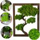 MOS Slika Bonsai Drvo Života od Maha