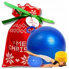  LOPTA ZA FITNESS GYM 65CM SA PUMPICOM
