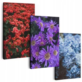   SLIKA NA PLATNU 150 cm **više dezena** OBRAZI ZA DNEVNI BORAVAK TRIPTIH CVIJEĆE