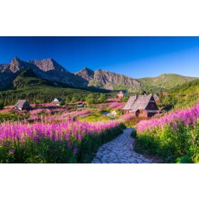   FOTO TAPETE ZA SPAVAĆU SOBU, DNEVNI BORAVAK, GASIENICOWA HOL TATRA TAPETE ZIDNE 390x254