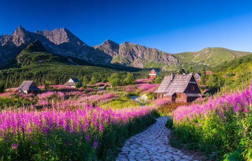 FOTO TAPETE ZA SPAVAĆU SOBU, DNEVNI BORAVAK, GASIENICOWA HOL TATRA TAPETE ZIDNE 390x254