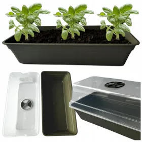  Mini staklenik 39 cm x 19 cm, plastika