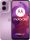 Motorola Moto G24 Pametni Telefon 8/128GB 6,56" Lavanda