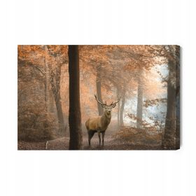 Magicni trenutak u šumi 100x70cm