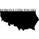 Metalna karta Poljske s planinama