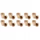  Verto saksija 8 cm x 8 x 7,8 cm, promjer 80 cm, krem treset