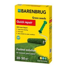  Barenbrug trava za renoviranje 50 m² 1 kg