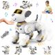 Programabilni robot kućni ljubimac