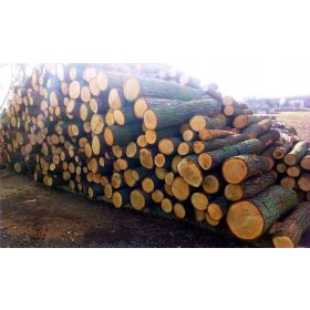 Valjci od hrastovine u veleprodajnim količinama