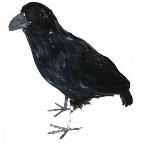  Funny Fashion 1 kom.