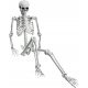  KOSTUR SKELETOR HALLOWEEN BONEBODY 165cm