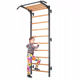    ENDORFIT | REHABILITACIJSKE GIMNASTIČKE LJESTVE za vježbe, 232x85 cm