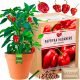 Habanero Red Chili Pepper Set za uzgoj XXL