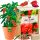 Najljuća Paprika Naga Bhut Jolokia XXL Set za Uzgoj Paprike