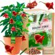 Paprika Okrasny Zvonek XXL Set za uzgoj paprike