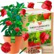 Trinidad Moruga Scorpion XXL sjeme za uzgoj paprike