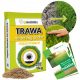  Trava za suhe prostore, vrtni vrt 40 m² 1 kg