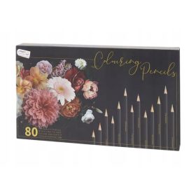 Olovke Profesionalni Set 80 komada