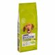  Suha hrana Purina Dog Chow piletina 14 kg