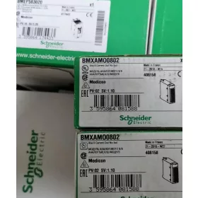  Schneider Electric BMXAMO0802 I/O modul