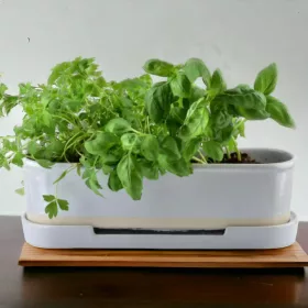  Korice 32 cm, bijela keramika