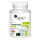 Aliness Ekstrakt Podagrycznika 10:1 400mg - 100 Veganskih Kapsula