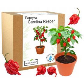 Najbolji set za uzgoj Carolina Reaper ljutih papričica