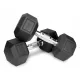  Fiksne bučice 2x10kg lijevano željezo gumirane SET 20kg HEX za trening SOLID