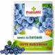  Westland višekomponentno gnojivo granulat 1 kg