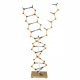 Cochranes of Oxford DNA - RNA model