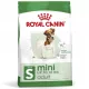  Royal Canin Mini Adult 4 kg