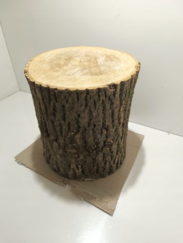  BLOK JASENA ZA PANJ, JAKO TVRD, ZDRAVE VEL. L 24-31cm